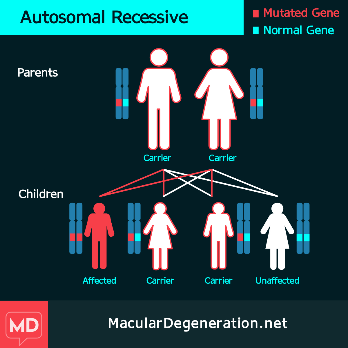 Recessive